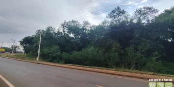 Foto: area-de-terra-no-centro-santa-terezinha-de-itaipu-pr-2703-220a462f49.jpg