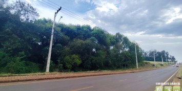 Foto: area-de-terra-no-centro-santa-terezinha-de-itaipu-pr-2703-c291bf83d9.jpg