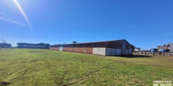 Foto: barracao-no-area-industrial-santa-terezinha-de-itaipu-pr-2296-5f85bd4bf4.jpg