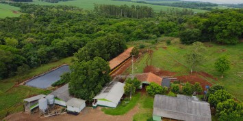 Foto: chacara-no-area-rural-medianeira-2719-5e2cd39e7e.JPG