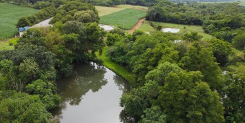 Foto: chacara-no-area-rural-medianeira-2719-c4a5ac4082.JPG