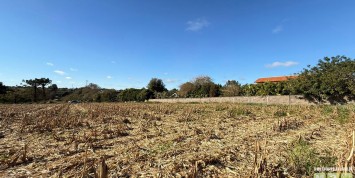 Foto: chacara-no-primeira-linha-santa-terezinha-de-itaipu-pr-2649-83f0c27a9c.jpg