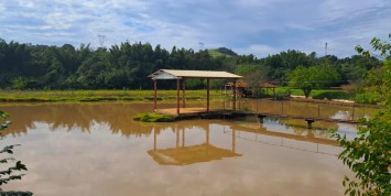 Foto: chacara-no-sao-miguel-do-iguacu-pr-2860-9dd30efde7.jpeg