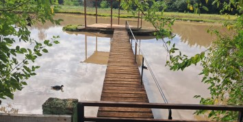 Foto: chacara-no-sao-miguel-do-iguacu-pr-2860-e4cc8cc544.jpeg