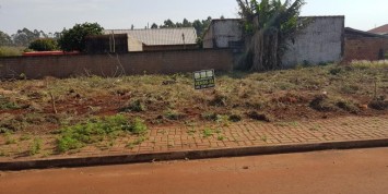 Foto: e1281b7b46.jpg